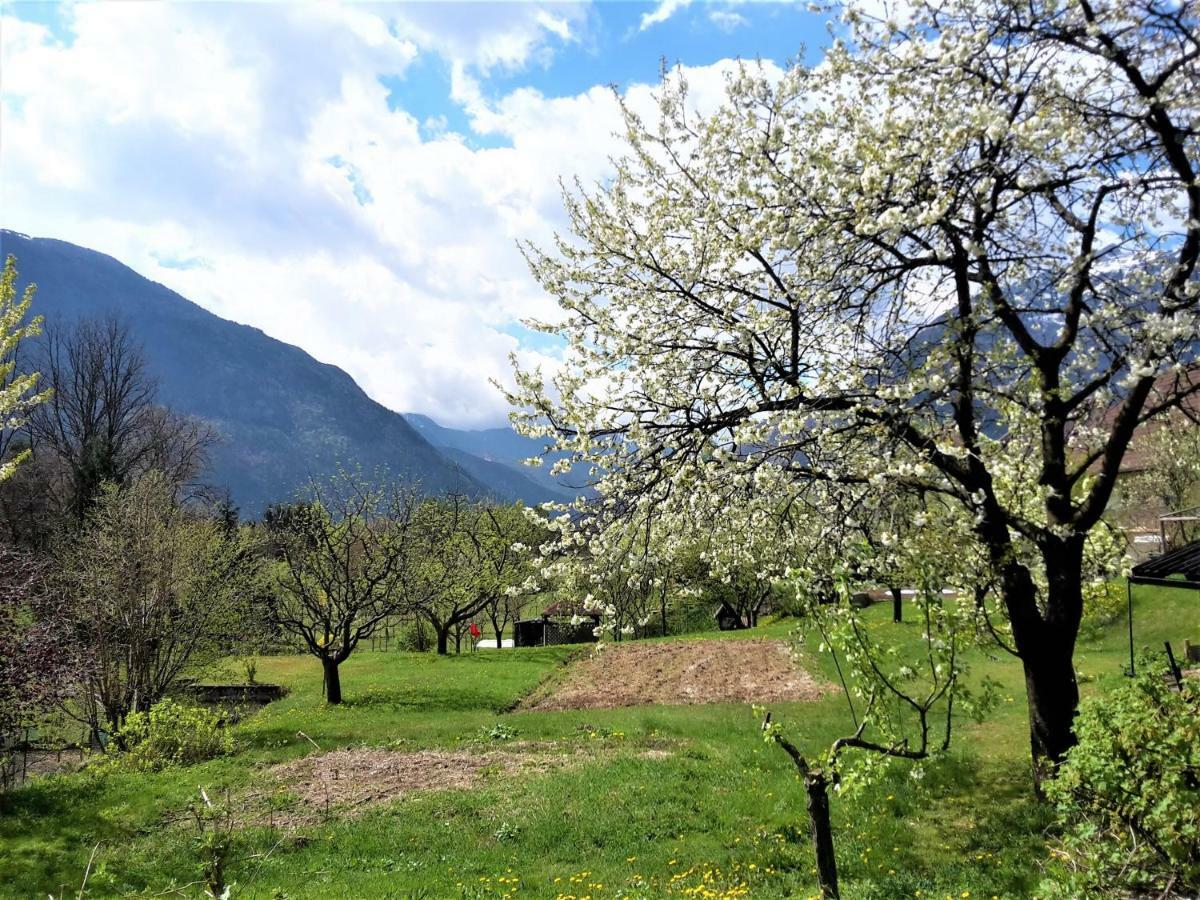 Bovec Holiday House المظهر الخارجي الصورة